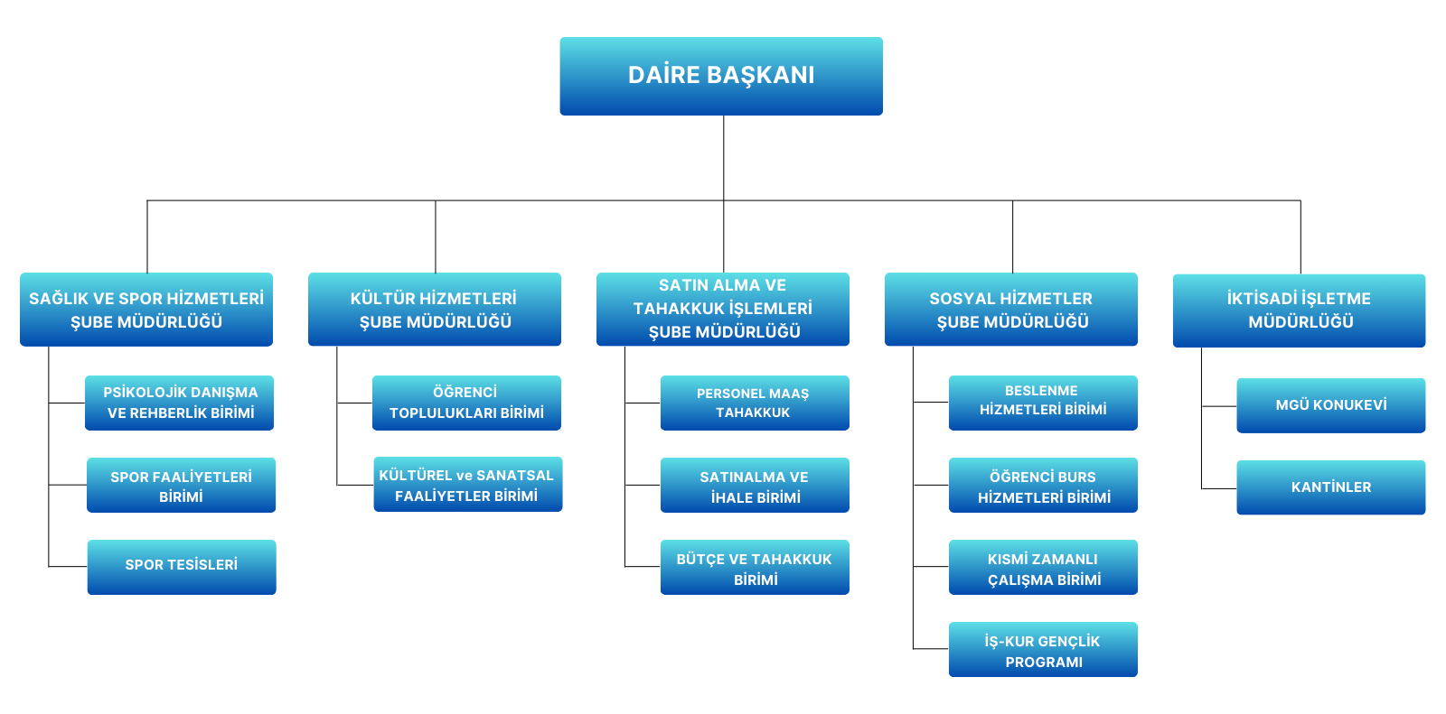 Sağlık, Kültür ve Spor Daire Başkanlığı Organizasyon Şeması