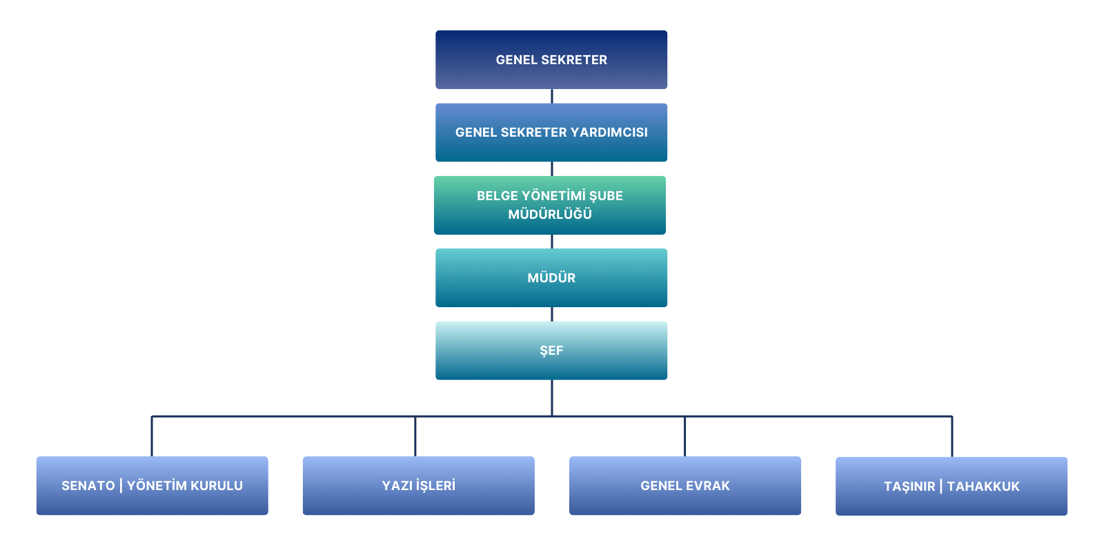 Belge Yönetimi Şube Müdürlüğü-Organizasyon Şeması