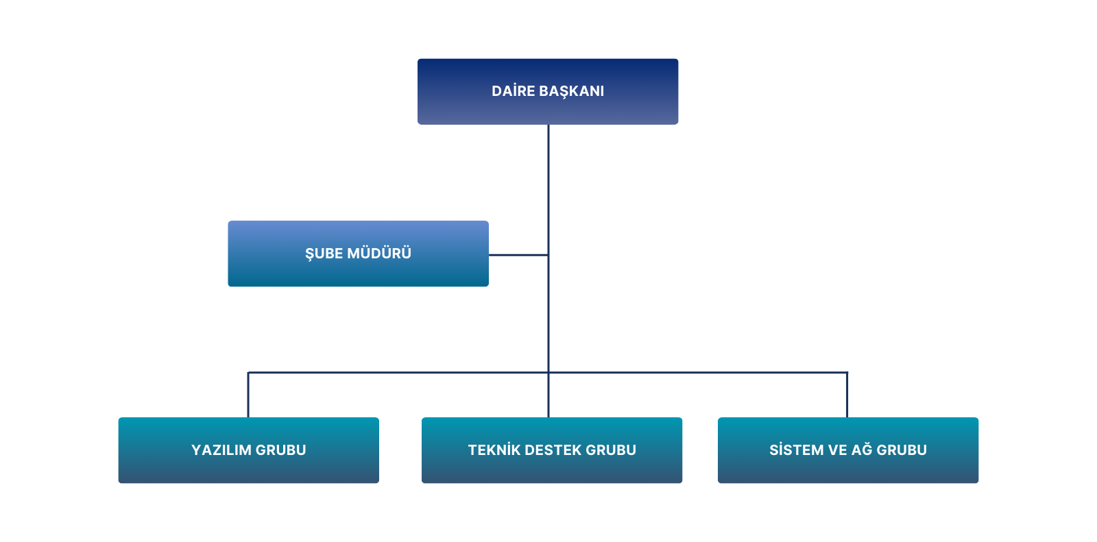 Bilgi İşlem Daire Başkanlığı-Organizasyon Şeması