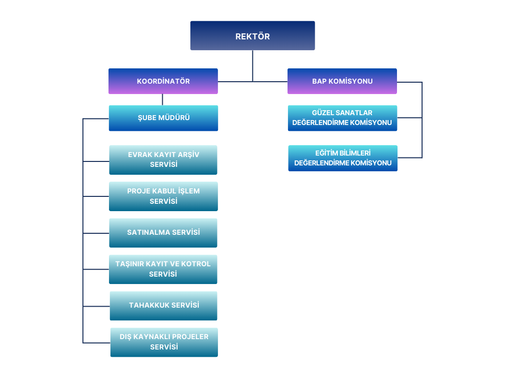 Bilimsel Araştırma Projeleri Koordinatörlüğü-Organizasyon Şeması