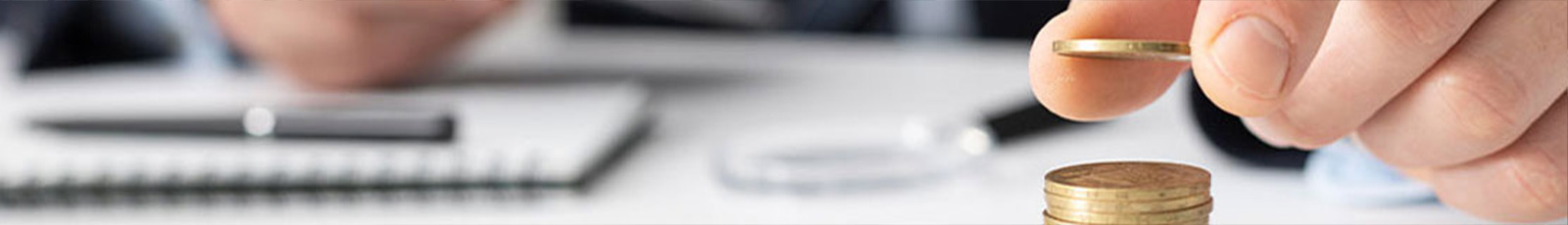 Bütçe ve Performans Programı Şube Müdürlüğü Banner