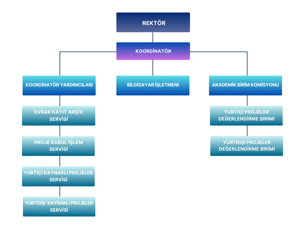 Proje Geliştirme ve Koordinasyon Birimi-Organizasyon Şeması