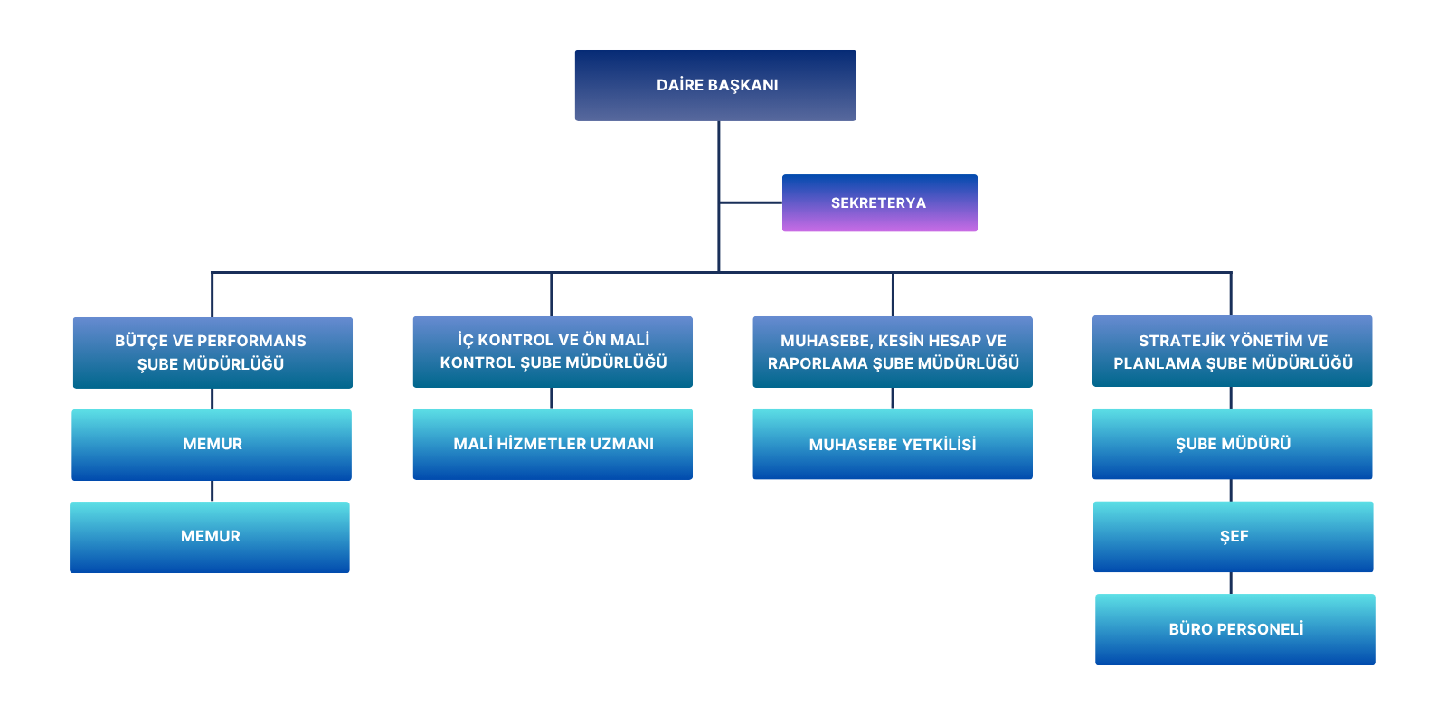 Strateji Geliştirme Daire Başkanlığı Organizasyon Şeması